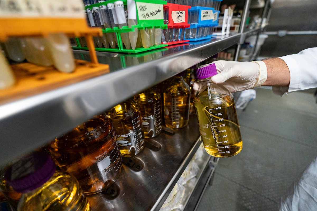 A hand in rubber glove grabbing a bottle of liquid from a laboratory shelf filled with test tubes and other bottles.
