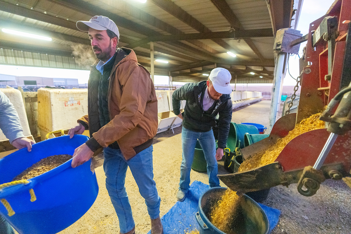 Two men in a large warehouse collecting grain in large plastic bins from a machine outside pouring in.