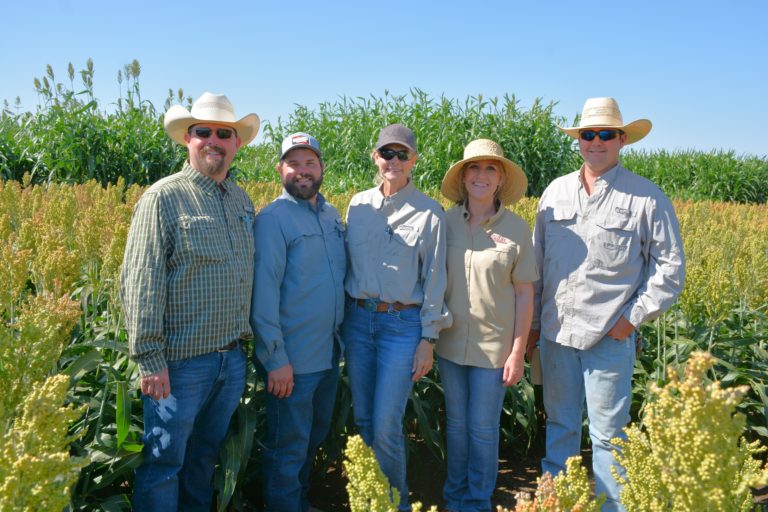 5 people in different hats and fishing shirts standing in a row in a field of wheat and sorghum smiling