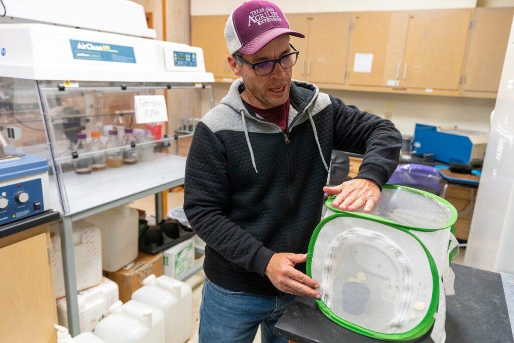 Man in baseball cap and glasses in a lab opening a netted box for keeping insects.