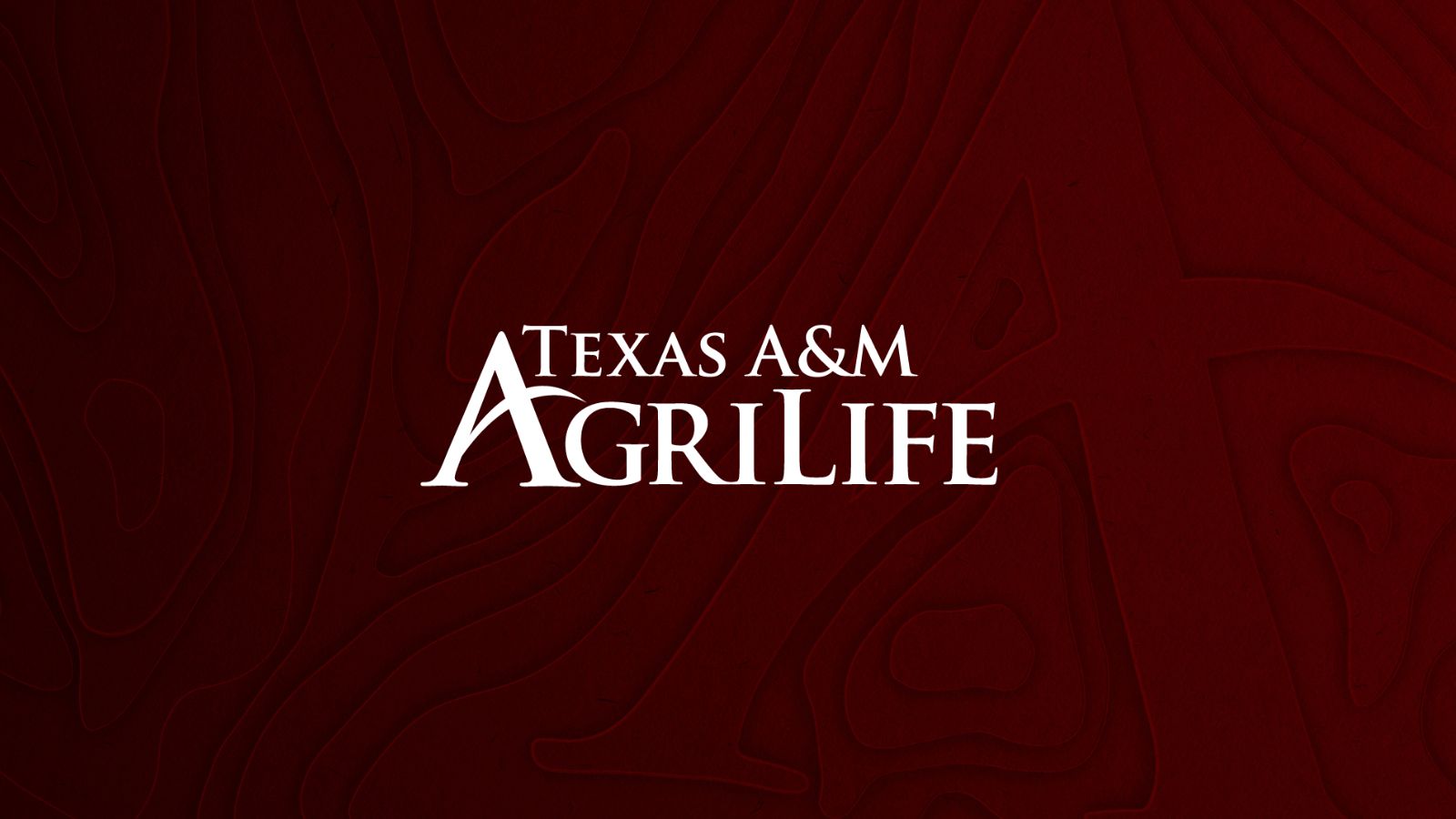 Texas A&M AgriLife logo