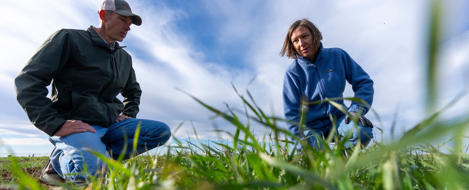 two people kneeling in field of green and skies of blue